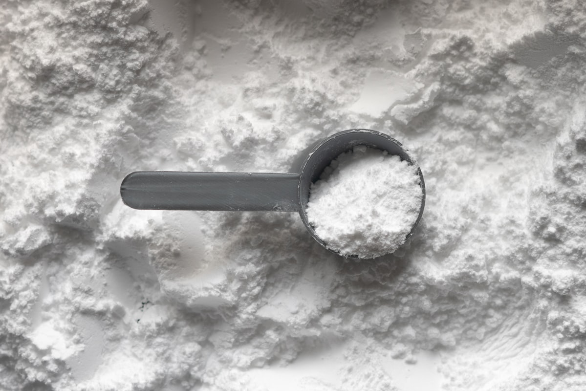 Plant-based protein powder